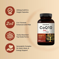 Close-up of NatureBell CoQ10 with PQQ label highlighting high absorption formula.