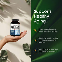 NatureBell DHEA bottle on white background ready for daily use.