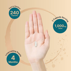 NatureBell product packaging graphic emphasizes chelated, purified magnesium for better absorption.