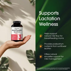 NatureBell Sunflower Lecithin ingredients section showcases sunflower oil and choline-rich formula.