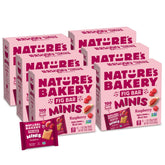 Nature's Bakery Raspberry Fig Bar Minis in pack, convenient on-the-go snack.