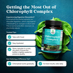 Natures Craft chlorophyll parsley extract emphasizes digestive support.