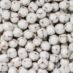 Nature's Garden Probiotic Yoggies yogurt-coated fruit close-up creamy texture