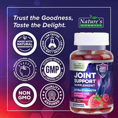 Nature's Gummies Joint Support bottle emphasizes Vitamin E for antioxidant support.