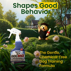 Nature's MACE yard deterrent spray on grass helps prevent digging.