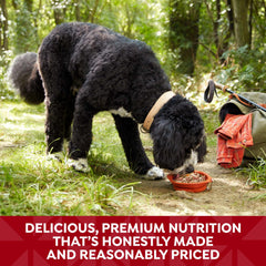 Serving in a bowl shows premium nutrition for adult dogs.