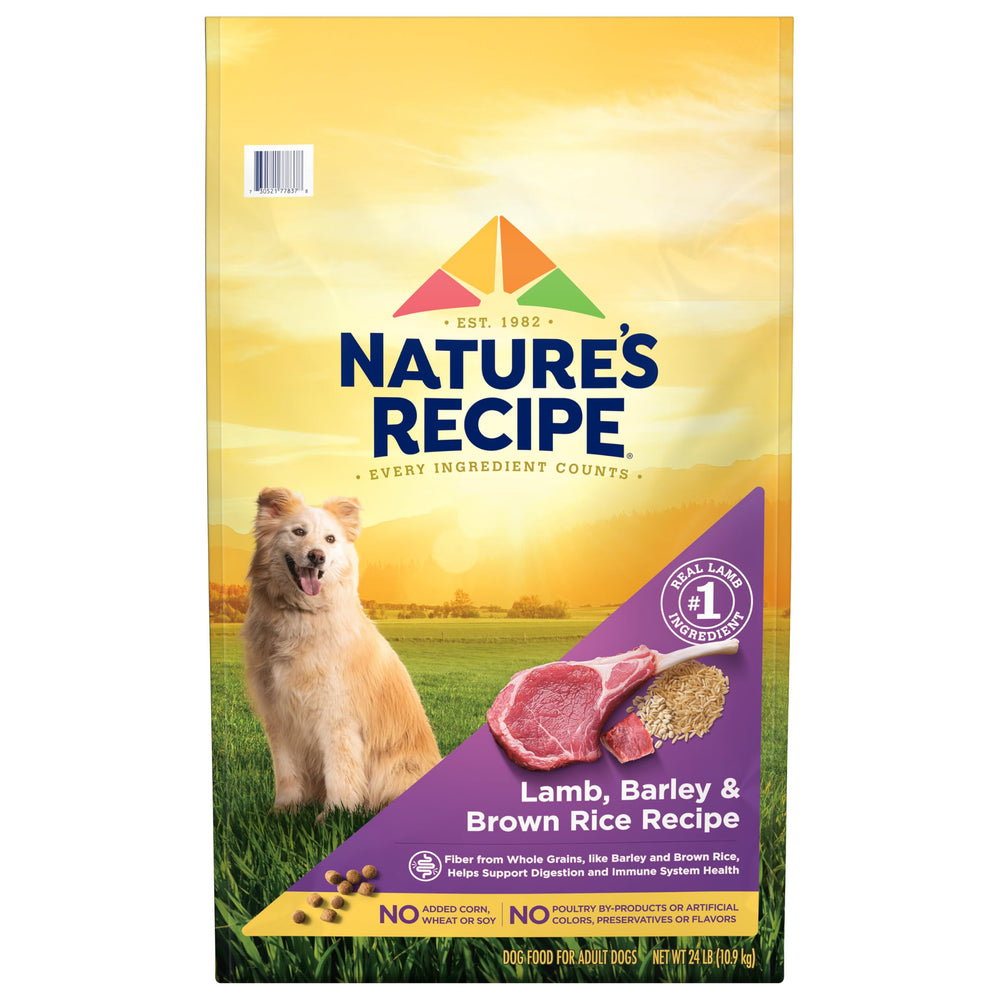 Nature's Recipe lamb-brown-rice dry dog food bag front highlights premium protein.
