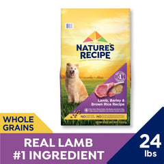 Nature's Recipe lamb kibble close-up shows crunchy texture and quality protein.