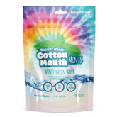 Nature’s Stance Xylitol Mints wintergreen pack front for on-the-go cotton mouth relief