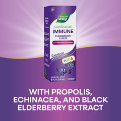 Nature's Way berry-flavored syrup highlighting elderberry antioxidants