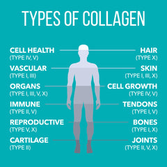 Nature's Plus Collagen Peptides for hair, skin, and nails support.