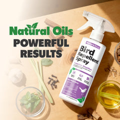 NatureStop Bird Repellent Spray on patio decks reduces bird activity for cleaner spaces.
