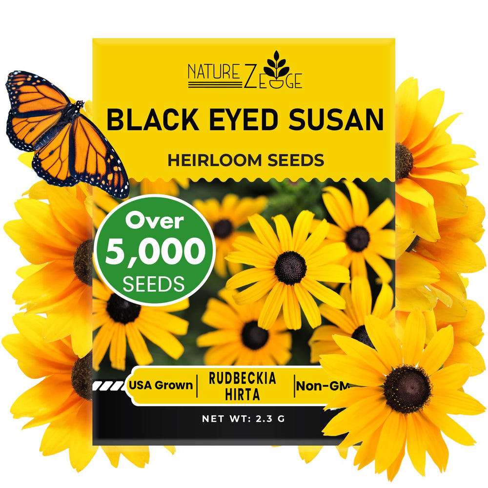 NatureZ Edge Black Eyed Susan seeds packet closeup highlighting abundant blooms and open-pollinated quality.