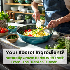 NatureZ Edge parsley seeds for bright, versatile herbs in meals.