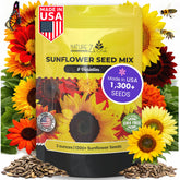 NatureZ Edge Autumn Beauty sunflower seeds for colorful borders and extended bloom season.