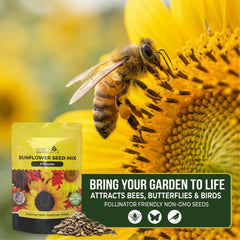 NatureZ Edge Lemon Queen seeds deliver tall, bright blooms for focal points.