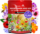 NatureZ Edge Wildflower Seeds Mix packaging close-up for easy planting