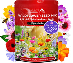 NatureZ Edge Wildflower Seeds Mix packaging close-up for easy planting