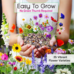NatureZ Edge Wildflower Seeds Mix closeup reveals tiny seeds ready to sow.