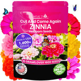 NatureZ Edge zinnia seeds 10g bag for easy outdoor planting.