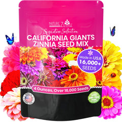 NatureZ Edge zinnia seeds offer California Giants color for vibrant garden borders.