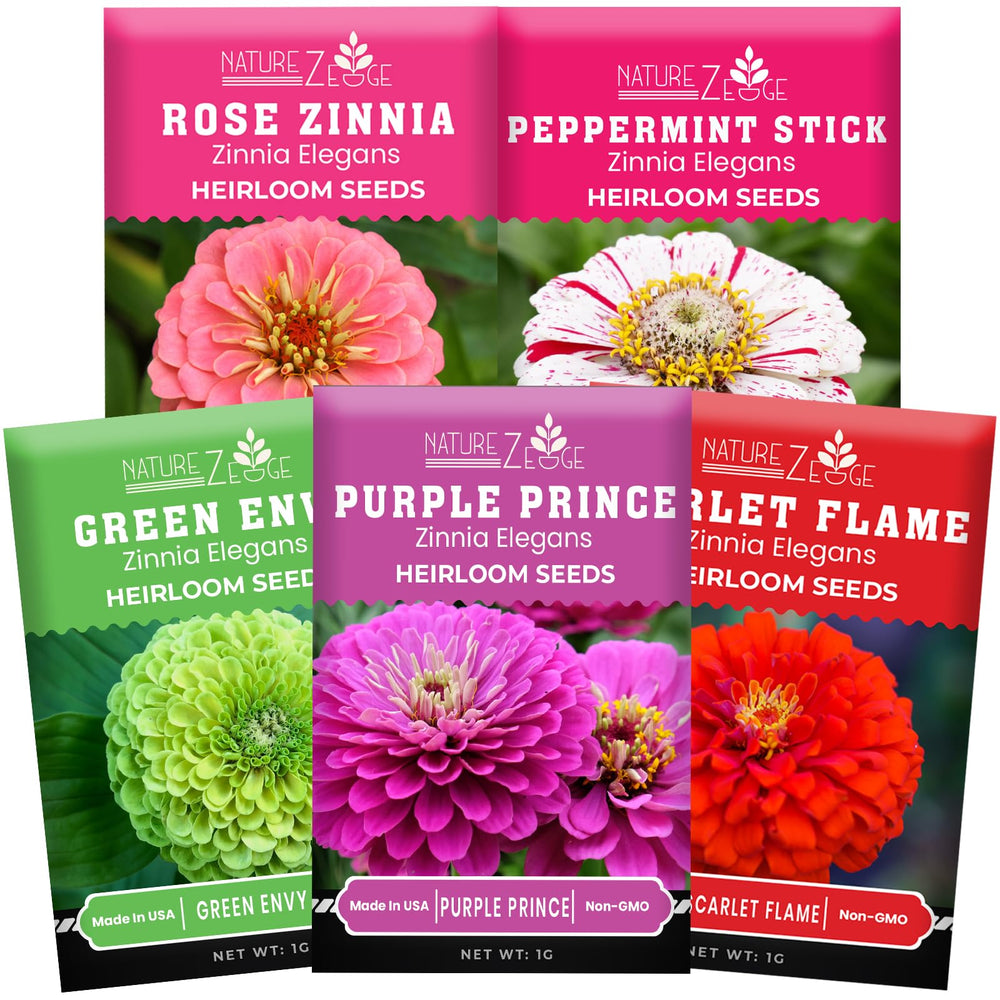 NatureZ Edge zinnia seeds mix-pack for vibrant border color and easy garden accents.