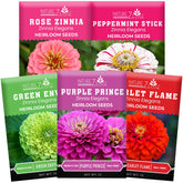 NatureZ Edge zinnia seeds mix-pack for vibrant border color and easy garden accents.
