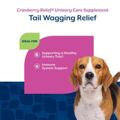 NaturVet Cranberry Relief Plus Echinacea label; ingredient details for quality.