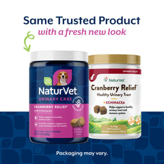 NaturVet Cranberry Relief Plus Echinacea soft chews in bowl; easy daily use.