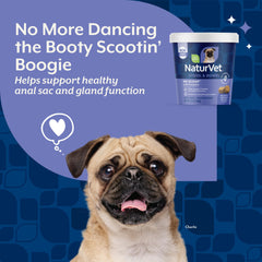 NaturVet No Scoot soft chews aiding digestion in dogs.