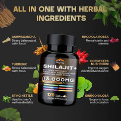 naypiny Himalayan Shilajit source emphasizing natural origin