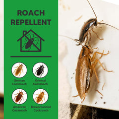 NCSIFDD roach repellent applied along cracks and corners to deter roaches.
