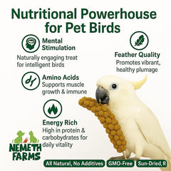 Nemeth Farms cage-clip millet spray demonstrates easy feeding and convenient cage integration for parrots.