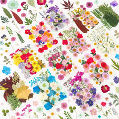 NESCCI 420-piece pressed flowers set for crafts and decor