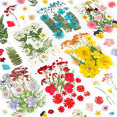 NESCCI dried pressed flowers 103pcs collection for resin crafts and scrapbooking