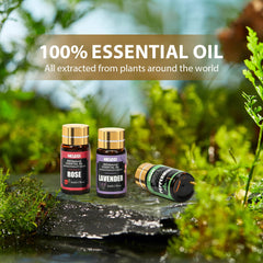 NESCCI essential oil set diffuser ambience scene for relaxing spaces.