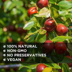 NESTLADY jujube dates with pits preserve traditional flavor and experience
