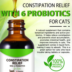 Netwik natural ingredients label highlights probiotic blend for digestive health.