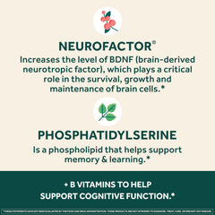 NEURIVA Plus B vitamins capsule shown for cognitive function and energy.