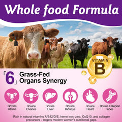 Newseel beef organ supplement ingredients label displayed for transparency and quality.