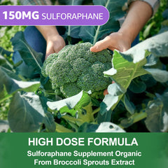 Nextdia broccoli sprouts extract image illustrating natural detox potential.