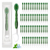 nicedae mini travel toothbrush with mint toothpaste in green packaging for on-the-go freshness.