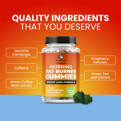Nobi Nutrition Morning Fat Burner Gummies apple flavor for a convenient daily routine.