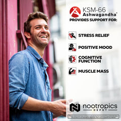 Nootropics Depot KSM-66 packaging box highlighting quality standards.