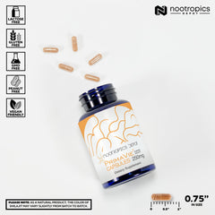 Nootropics Depot PrimaVie Shilajit capsules pack ready for everyday use