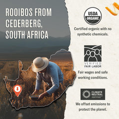 Numi Rooibos Chai packaging highlighting recyclable, plastic-free design.
