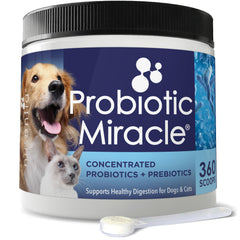 Nusentia Probiotic Miracle dog bottle for daily dosing and reliable consistency.