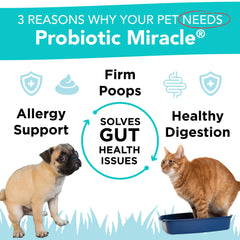 Nusentia Probiotic Miracle jar with 360 scoops supports larger dogs' feeding needs.