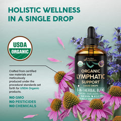 NutraHarmony Lymph Drops herbal blend image emphasizes Elderberry and Dandelion for wellness.