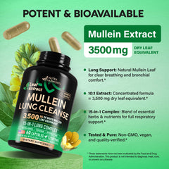 NutraHarmony Mullein Lung Detox bottle side view highlights convenient daily use.